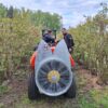 Agrola 600/55F - obrazek 6