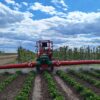 AGROLA Komfort AAF - obrazek 8