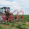 Pielnik hydrauliczny do truskawek i warzyw ZUZA 3 - obrazek 8